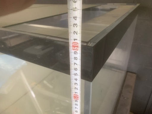 大型水槽　熱帯魚　錦鯉