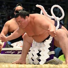 大相撲湯呑みセット🍵