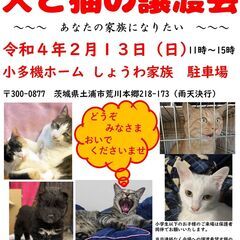 犬と猫の譲渡会～あなたの家族になりたい～