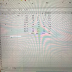 【木津川市城山台】データを参照しながらExcelでの簡単な入力作業！の画像
