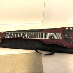 MELOVER GUTER. スチールギター