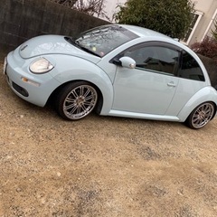 5月限定値下げ　フォルクスワーゲン　ビートル