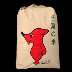 令和4年度 コシヒカリ30kg 玄米