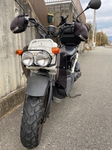 【お取引成立】HONDA ズーマー50cc 原付　自賠責残R6年12月末（約9000円分）