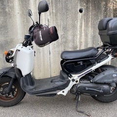 【お取引成立】HONDA ズーマー50cc 原付　自賠責残R6年...