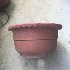 素焼き　大型　鉢　あげますの画像