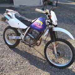 95DR250R
