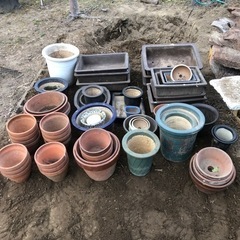 植木鉢、盆栽鉢　1個から無料で差し上げます