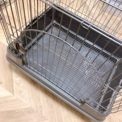 ☆ラビット うさぎ チンチラ ケージ☆の画像