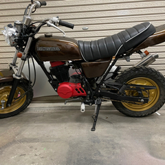 エイプ100の画像