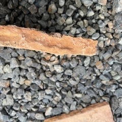 飛石　ステップストーン　タイル　9枚の画像