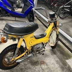 シャリー　売ります