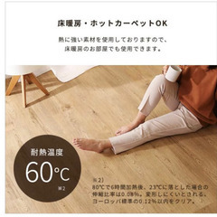 フロアタイル👣　賃貸OK 超簡単に土足仕様に！！　現状復帰可！の画像