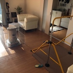 室内鉄棒　イエローの画像