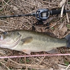 【柳川クリーク】バス釣り友達募集‪🎣‬