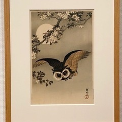 博物館・美術館・レトロ建築好きなお友達欲しいです😣 - 品川区