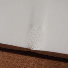 トゥルースリーパーシングルの画像