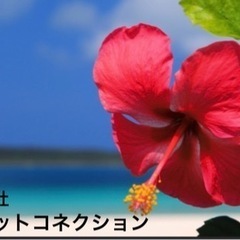 ●経験者●VB開発