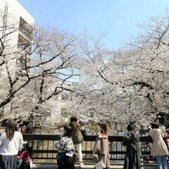 【履歴書不要/未経験OK/土日祝休み/1日3h～7hシフト自由勤務/まかない付き】マニュアル完備の法人向けのコールスタッフ！の画像
