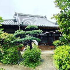 キッズお寺参り（一般的にはお宮参り） - セミナー