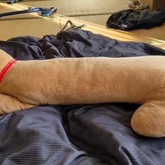 抱き枕の画像