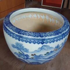 睡蓮鉢🥀