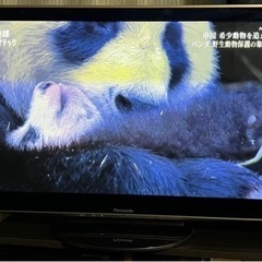 50V型　Panasonicプラズマテレビ
