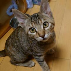 介護職に興味ある方と仲良くしたいです