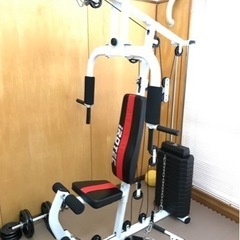 トレーニング器具&ベンチ