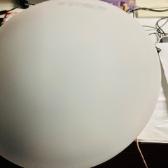 led 電灯(大)