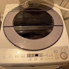 洗濯器　SHARP 8kg  〜2/26まで