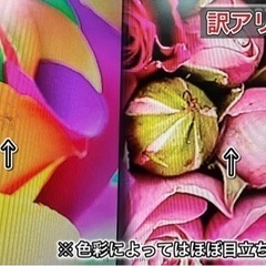 【すぐ見れる‼️】SHARP AQUOS 液晶テレビ 20型✨ 訳アリ破格⭕️ 配送無料🚛の画像