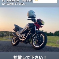 vt250f   取りに来て下さい！