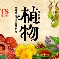 3月28日、植物展に行きませんか？😳