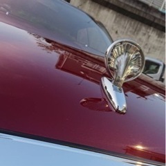 車の磨き・コーティング出張で行います