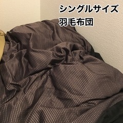 シングル✖️羽毛布団