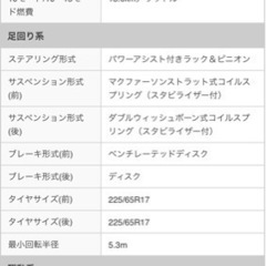 チェーン　イエティ　ゴムタイプ　着脱簡単