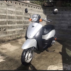 譲渡先決定しました。浜松市近郊の引き取り可能な方！ホンダ　トゥデ...