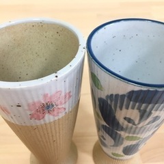 ビアグラス ペア 陶器 泡きめ細やか ビール 美味しくなる クリーミー ペア 春 桜 花 2つセット 300ml×2の画像