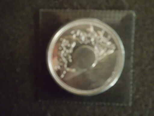 天皇陛下御在位６０年一万円銀貨ブリスターパック入新品未使用