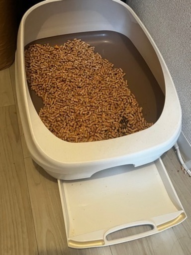 猫トイレ/猫用品　掃除予定