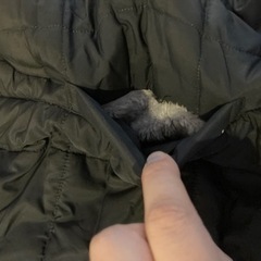 抱っこ紐用　冬用カバー　Combiminiの画像