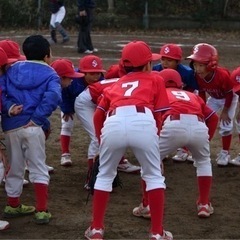 子どもたちの野球&体育の指導やお手伝いをしてくださいませんか？
