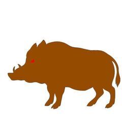おしえて！ イノシシ被害 害獣 農作物被害
