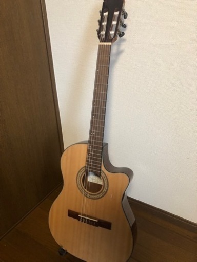 【値下げ】ibanez エレガット