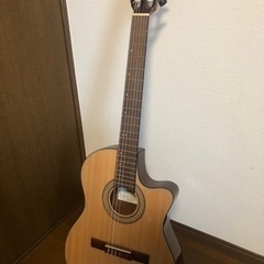 【値下げ】ibanez エレガット