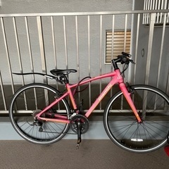 Bianchi ROMA Ⅱ(ビアンキ ローマⅡ)
