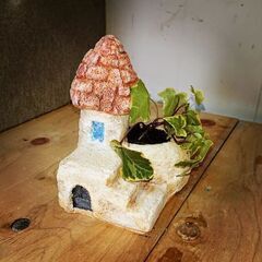 おうちの形の鉢植え♪の画像