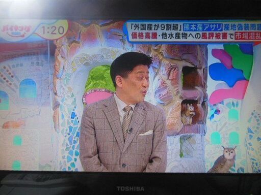 TOSHIBA　テレビ　19A8000　2009年製　中古品