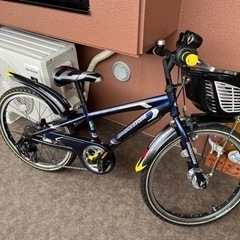 子供用自転車 22インチ　7段 ブリヂストン クロスファイヤージュニア 点灯虫モデルの画像